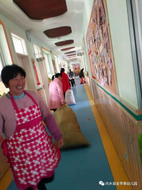 内乡县金苹果幼儿园 献绵薄之力,涌温暖之泉 圆满结束