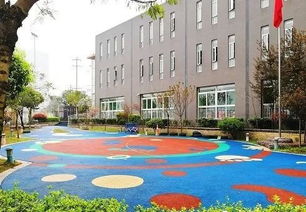 金苹果新蒙特梭利幼稚园强势上榜 13所一级幼儿园名单新鲜出炉