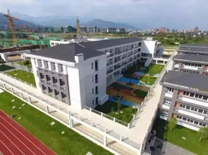 都江堰龙江路小学 开学典礼小演员选拔,全城征集