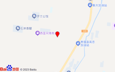 衡水市枣强县人民街金苹果幼儿园西侧约80米