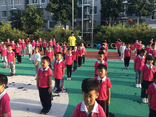 今夜不回家,我们共成长 金苹果幼儿园勇敢之夜体验活动邀请函