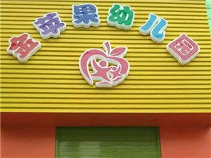 威信县金苹果幼儿园
