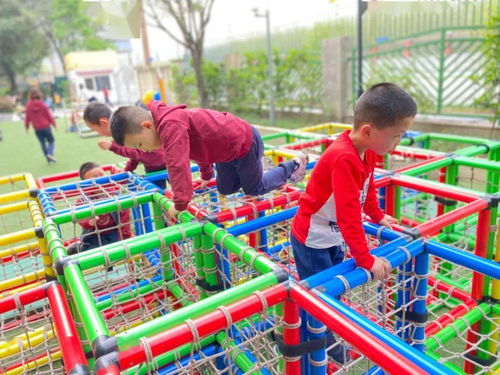 成都市一级幼儿园群 里,又多了四颗金苹果