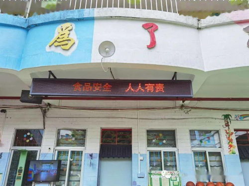 河宕幼儿园 食品安全 人人有责 宣传周活动