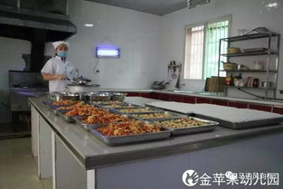 金苹果幼儿园报名通知