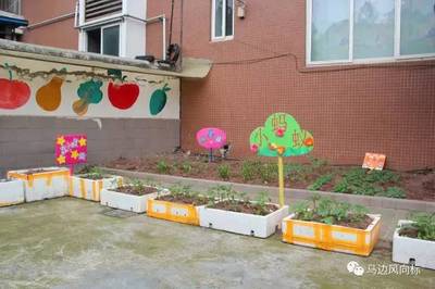 赢在起跑线——金苹果幼儿园幼小衔接班正式开班