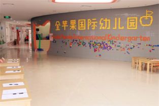 金苹果幼儿园加盟费用及合作模式解析