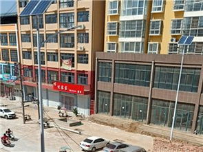 河东金苹果幼儿园对面，零室一卫公寓月租12000元 教育配套与便捷生活的完美结合